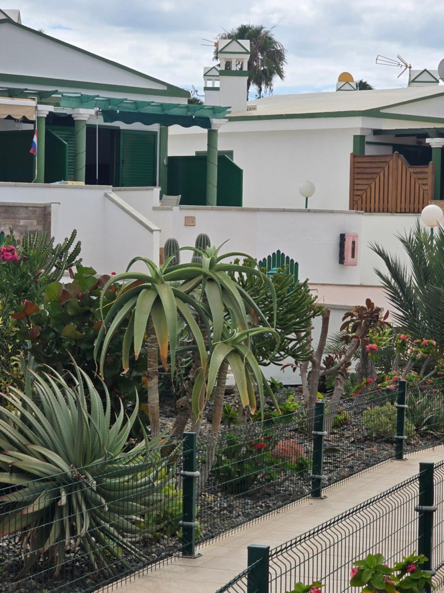 The Sunflower Maspalomas (Gran Canaria) Exterior foto