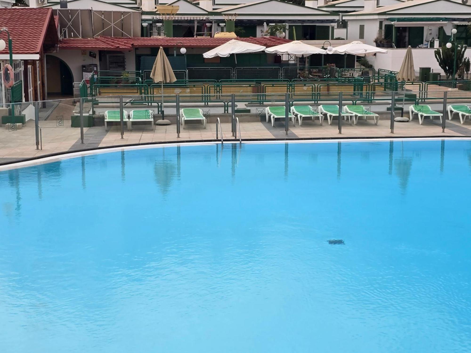 The Sunflower Maspalomas (Gran Canaria) Exterior foto