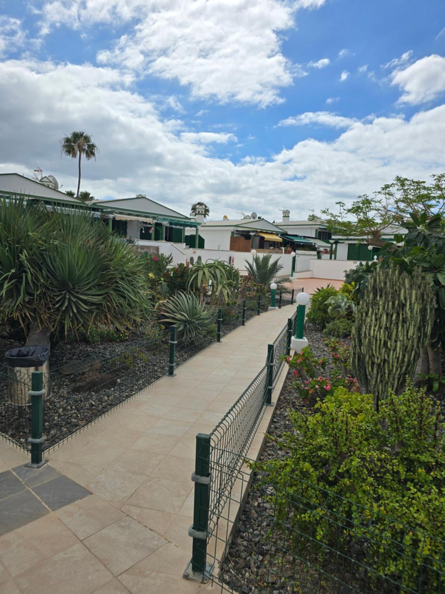 The Sunflower Maspalomas (Gran Canaria) Exterior foto